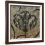 Black & White Tulips I-Liz Jardine-Framed Art Print