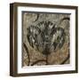 Black & White Tulips I-Liz Jardine-Framed Art Print