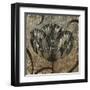 Black & White Tulips I-Liz Jardine-Framed Art Print