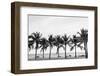 Black & White View of Beautiful Beach with Palms, Thailand-Wassana Mathipikhai-Framed Photographic Print