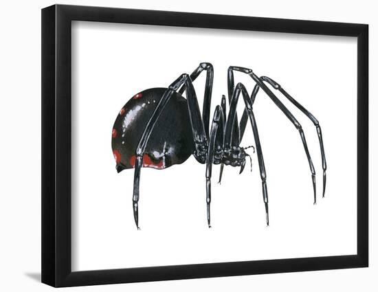 Black Widow (Latrodectus), Spider, Arachnids-Encyclopaedia Britannica-Framed Poster
