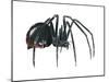 Black Widow (Latrodectus), Spider, Arachnids-Encyclopaedia Britannica-Mounted Poster