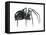 Black Widow (Latrodectus), Spider, Arachnids-Encyclopaedia Britannica-Framed Stretched Canvas