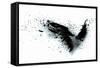 Black Wings-Sergey Nivens-Framed Stretched Canvas