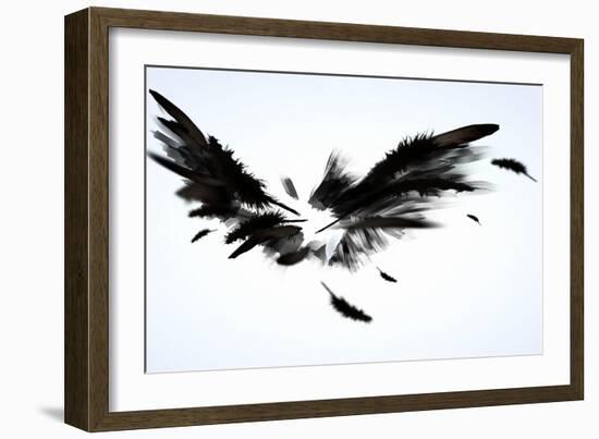 Black Wings-Sergey Nivens-Framed Art Print