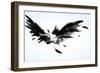 Black Wings-Sergey Nivens-Framed Premium Giclee Print