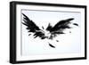 Black Wings-Sergey Nivens-Framed Premium Giclee Print