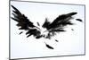 Black Wings-Sergey Nivens-Mounted Premium Giclee Print