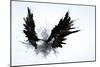 Black Wings-Sergey Nivens-Mounted Art Print