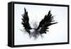 Black Wings-Sergey Nivens-Framed Stretched Canvas