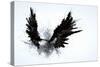 Black Wings-Sergey Nivens-Stretched Canvas