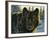 Black Wolf-Bruce Miller-Framed Giclee Print