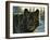 Black Wolf-Bruce Miller-Framed Giclee Print