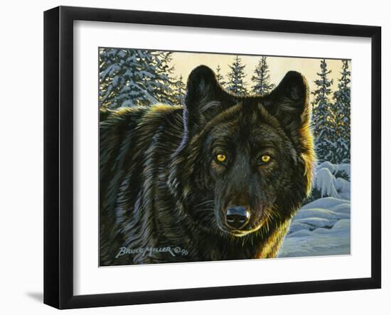 Black Wolf-Bruce Miller-Framed Giclee Print