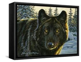 Black Wolf-Bruce Miller-Framed Stretched Canvas