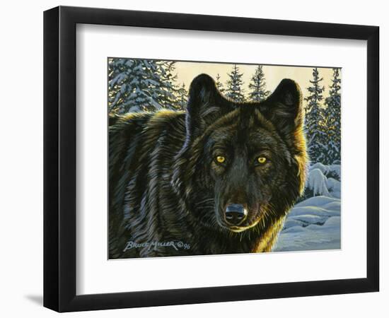 Black Wolf-Bruce Miller-Framed Premium Giclee Print