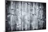 Black Wood Texture-Banauke-Mounted Photographic Print