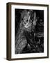 Black Wood-Design Fabrikken-Framed Photographic Print