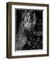 Black Wood-Design Fabrikken-Framed Photographic Print