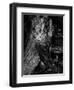 Black Wood-Design Fabrikken-Framed Photographic Print