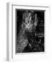 Black Wood-Design Fabrikken-Framed Photographic Print