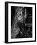 Black Wood-Design Fabrikken-Framed Photographic Print