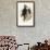 Black Woodpecker (Dryocopus Martius)-John Gould-Framed Giclee Print displayed on a wall