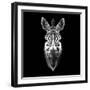 Black Zebra Head-NaxArt-Framed Art Print