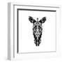 Black Zebra-Lisa Kroll-Framed Art Print