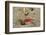 Blackback Land Crab (Gecarcinus Lateralis) Dragging Leaf into Burrow, Barbados-Adrian Davies-Framed Photographic Print