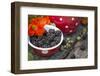 Blackberries and Blossoms, Red-White Dishes, Wooden Bank, Outside, Close-Up-Andrea Haase-Framed Photographic Print