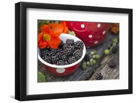 Blackberries and Blossoms, Red-White Dishes, Wooden Bank, Outside, Close-Up-Andrea Haase-Framed Photographic Print