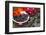 Blackberries and Blossoms, Red-White Dishes, Wooden Bank, Outside, Close-Up-Andrea Haase-Framed Photographic Print