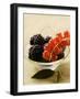 Blackberries and Redcurrants in Bowl-Foodcollection-Framed Photographic Print