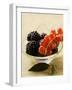 Blackberries and Redcurrants in Bowl-Foodcollection-Framed Photographic Print