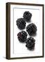 Blackberries-Jon Stokes-Framed Photographic Print