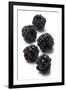 Blackberries-Jon Stokes-Framed Photographic Print