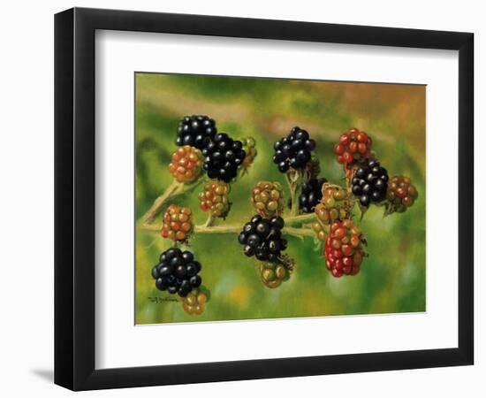 Blackberries-Bill Makinson-Framed Giclee Print