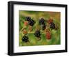 Blackberries-Bill Makinson-Framed Giclee Print