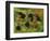 Blackberries-Bill Makinson-Framed Giclee Print