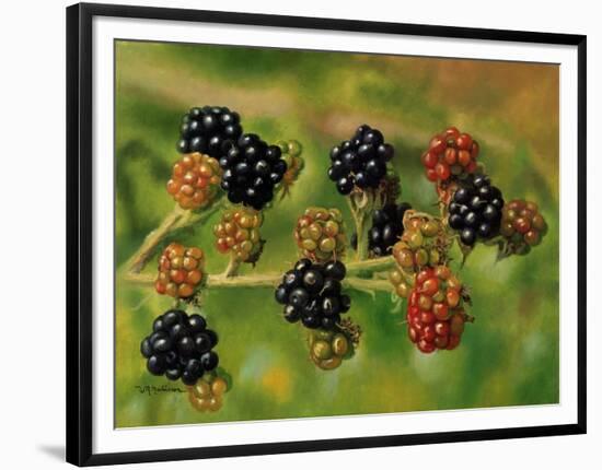 Blackberries-Bill Makinson-Framed Premium Giclee Print