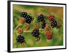 Blackberries-Bill Makinson-Framed Premium Giclee Print