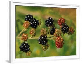 Blackberries-Bill Makinson-Framed Premium Giclee Print