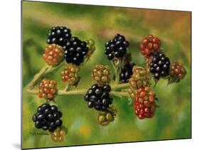 Blackberries-Bill Makinson-Mounted Premium Giclee Print