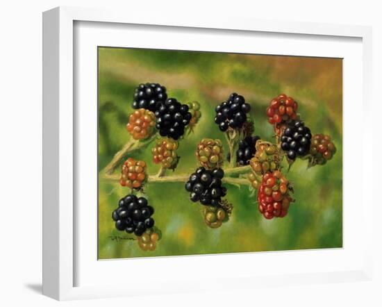 Blackberries-Bill Makinson-Framed Giclee Print