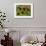 Blackberries-Bill Makinson-Framed Giclee Print displayed on a wall