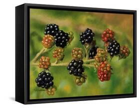 Blackberries-Bill Makinson-Framed Stretched Canvas