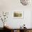 Blackberry Gatherers-Henry John Yeend King-Framed Giclee Print displayed on a wall