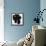 Blackberry I-Sydney Edmunds-Framed Stretched Canvas displayed on a wall