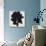 Blackberry III-Sydney Edmunds-Giclee Print displayed on a wall